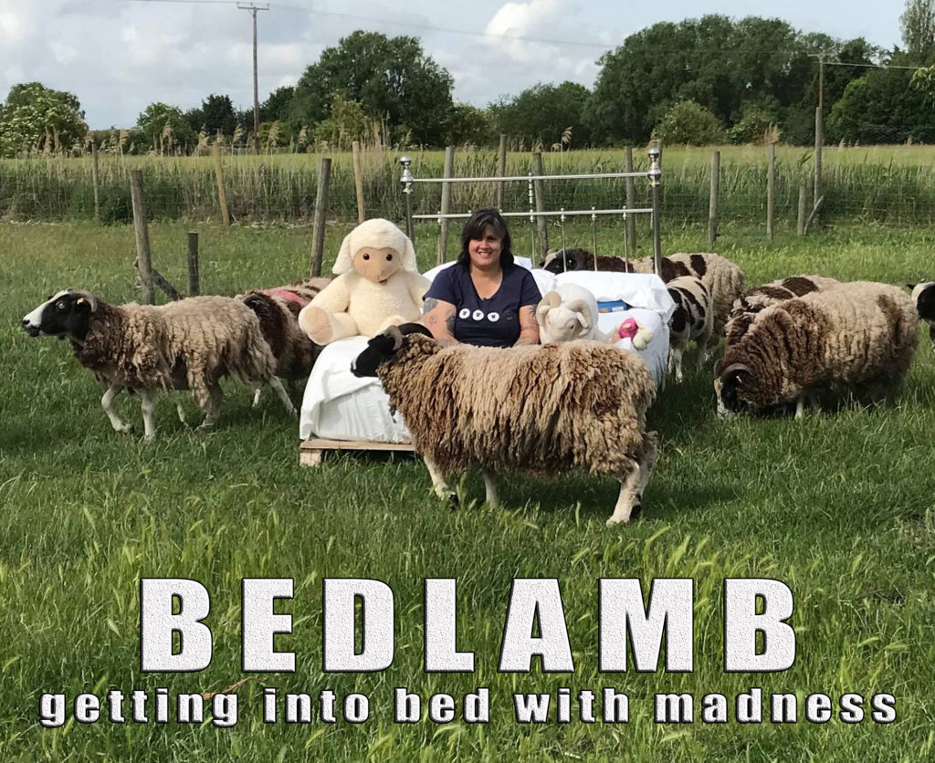 Dolly Sen sitting on a bed in a field with sheep 